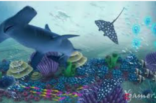 开元国际67ky客户端